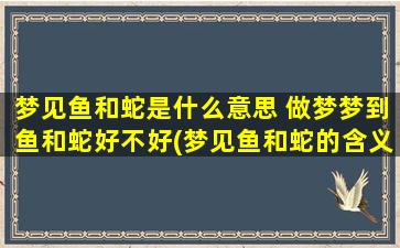 梦见鱼和蛇是什么意思 做梦梦到鱼和蛇好不好(梦见鱼和蛇的含义大揭秘！快来解读做梦鱼和蛇的真实含义！)